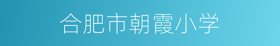 合肥市朝霞小学的同义词