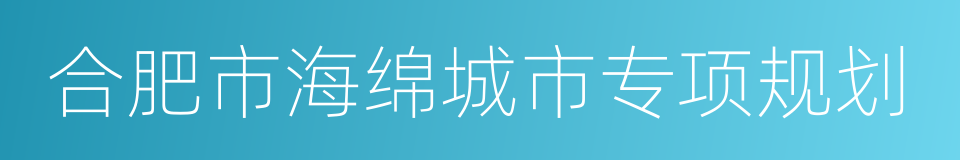 合肥市海绵城市专项规划的同义词