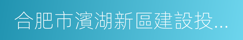 合肥市濱湖新區建設投資有限公司的同義詞