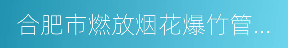 合肥市燃放烟花爆竹管理规定的同义词