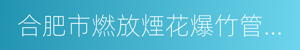 合肥市燃放煙花爆竹管理規定的同義詞