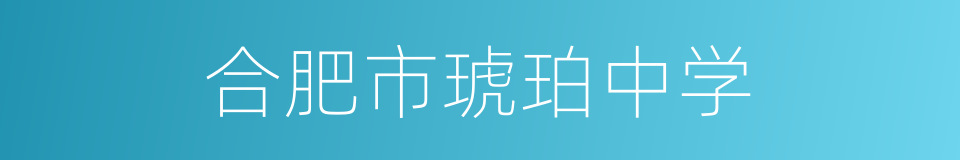 合肥市琥珀中学的同义词