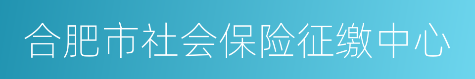 合肥市社会保险征缴中心的同义词