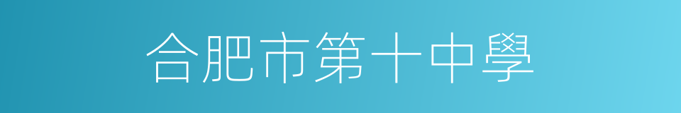 合肥市第十中學的同義詞