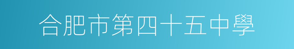 合肥市第四十五中學的同義詞