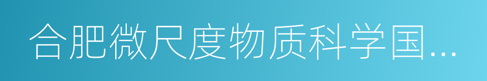 合肥微尺度物质科学国家实验室的同义词