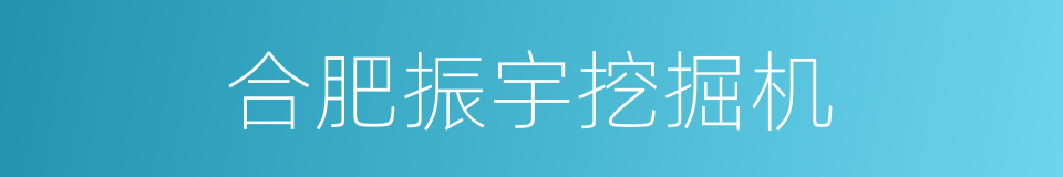 合肥振宇挖掘机的同义词