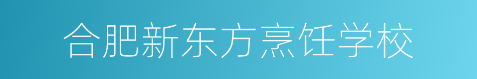 合肥新东方烹饪学校的同义词