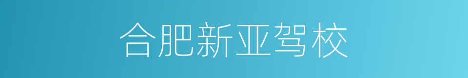 合肥新亚驾校的同义词