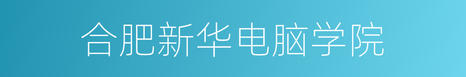 合肥新华电脑学院的同义词