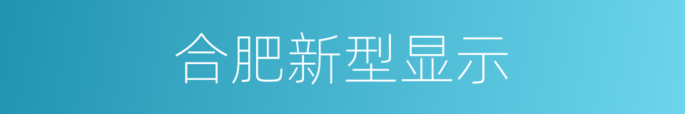 合肥新型显示的同义词