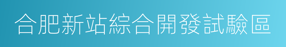 合肥新站綜合開發試驗區的同義詞