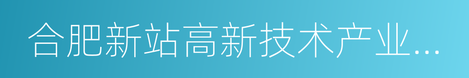 合肥新站高新技术产业开发区的同义词