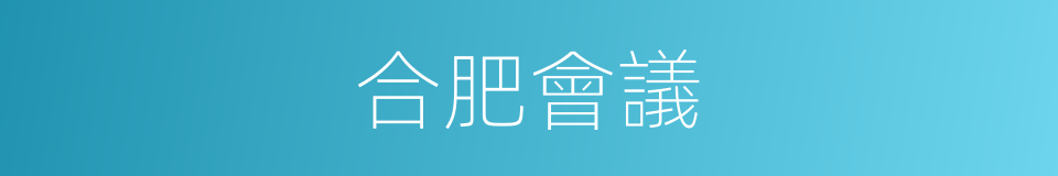 合肥會議的同義詞