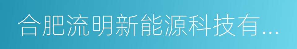 合肥流明新能源科技有限公司的同义词