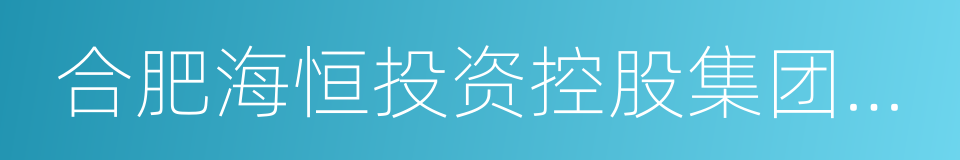 合肥海恒投资控股集团公司的同义词