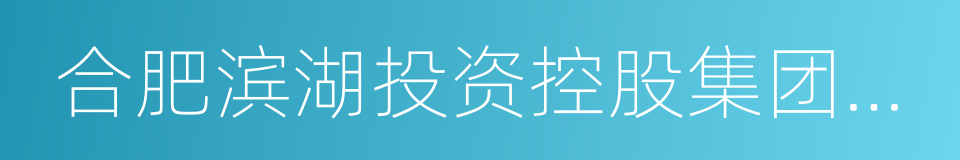 合肥滨湖投资控股集团有限公司的同义词