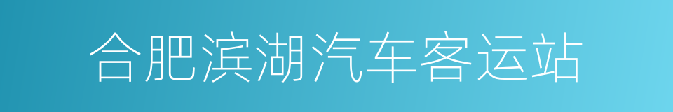 合肥滨湖汽车客运站的同义词