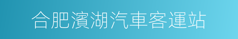 合肥濱湖汽車客運站的同義詞