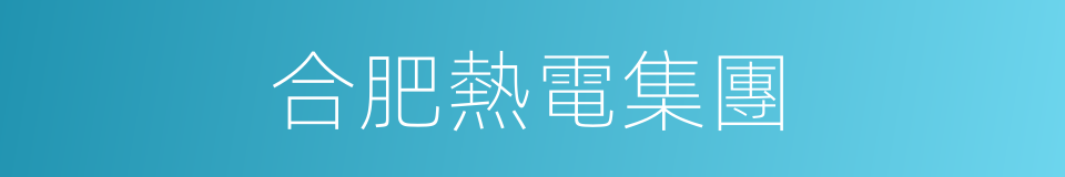 合肥熱電集團的同義詞