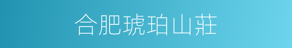 合肥琥珀山莊的同義詞