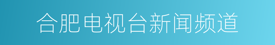 合肥电视台新闻频道的同义词