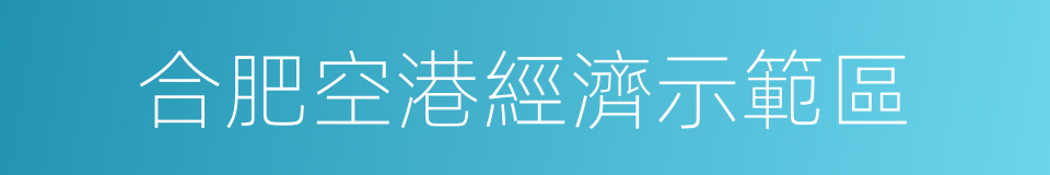 合肥空港經濟示範區的同義詞