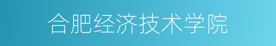 合肥经济技术学院的同义词