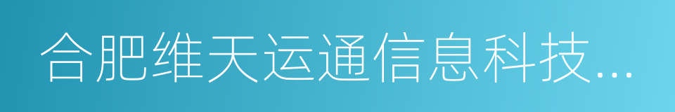 合肥维天运通信息科技股份有限公司的同义词