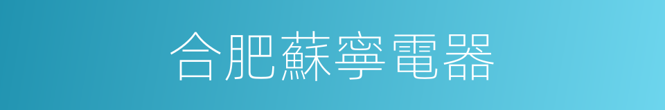 合肥蘇寧電器的同義詞