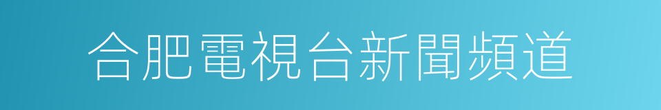 合肥電視台新聞頻道的同義詞