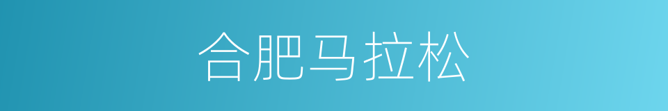 合肥马拉松的同义词