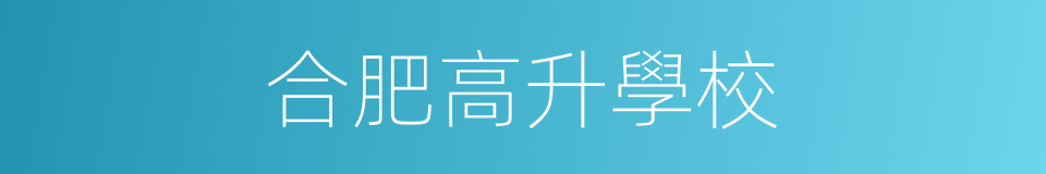 合肥高升學校的同義詞