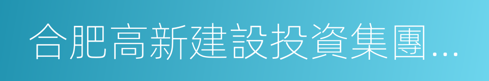 合肥高新建設投資集團公司的同義詞