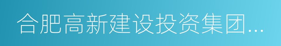 合肥高新建设投资集团公司的同义词