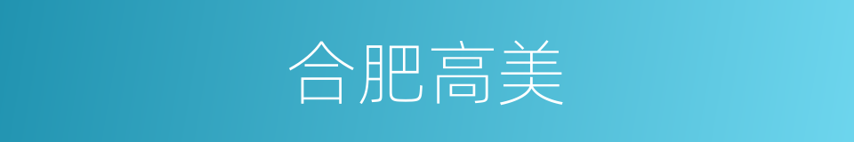 合肥高美的同义词