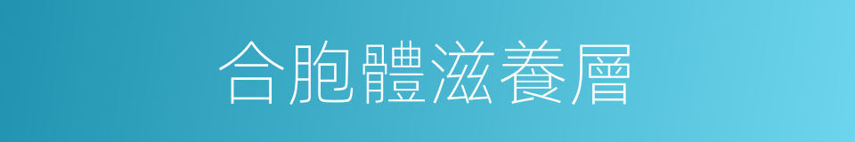 合胞體滋養層的同義詞