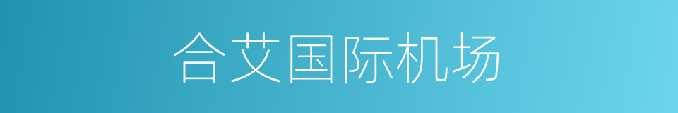 合艾国际机场的同义词