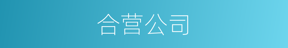 合营公司的同义词