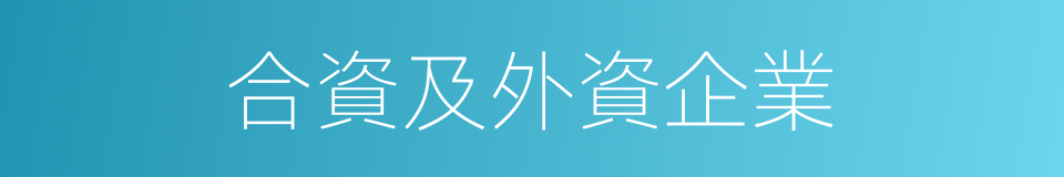 合資及外資企業的同義詞
