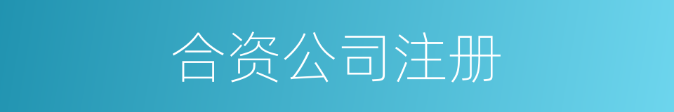 合资公司注册的同义词