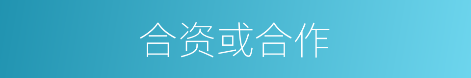 合资或合作的同义词
