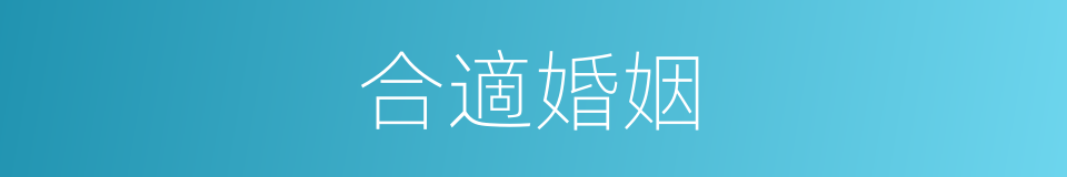 合適婚姻的同義詞