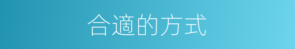 合適的方式的同義詞