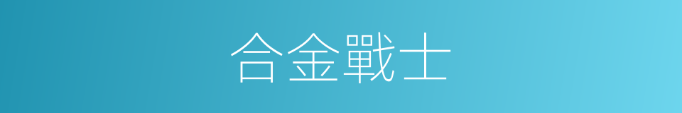 合金戰士的同義詞