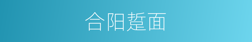 合阳踅面的同义词