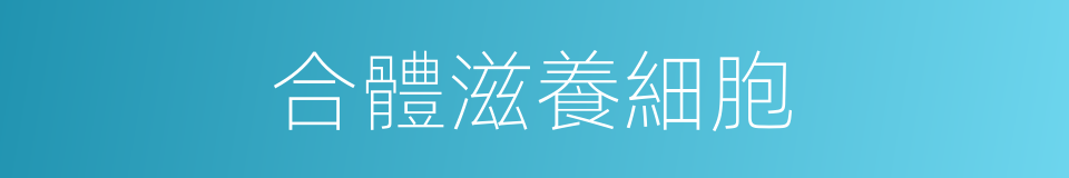 合體滋養細胞的同義詞