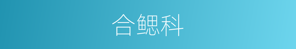 合鳃科的同义词