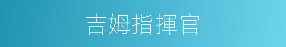 吉姆指揮官的同義詞