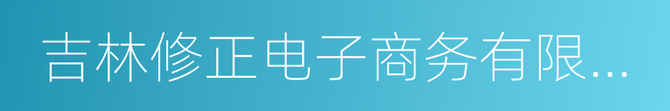 吉林修正电子商务有限公司的同义词